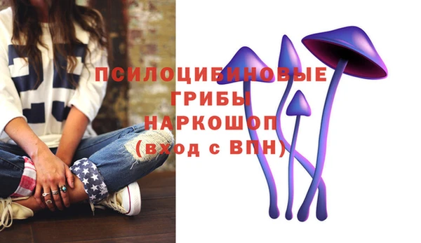 марки nbome Няндома