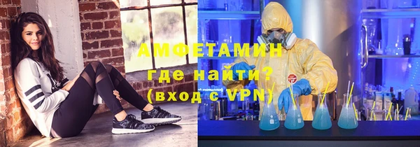 шишки Тихвин