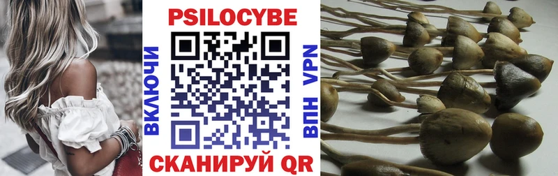 Галлюциногенные грибы прущие грибы  Котельнич 