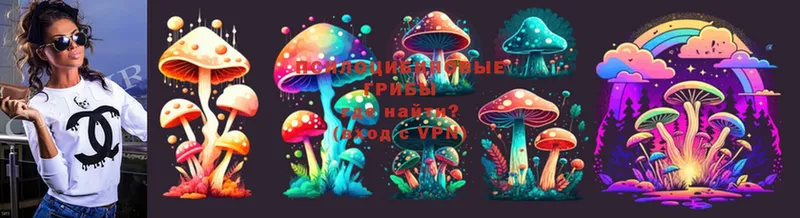 Псилоцибиновые грибы Psilocybine cubensis  Котельнич 